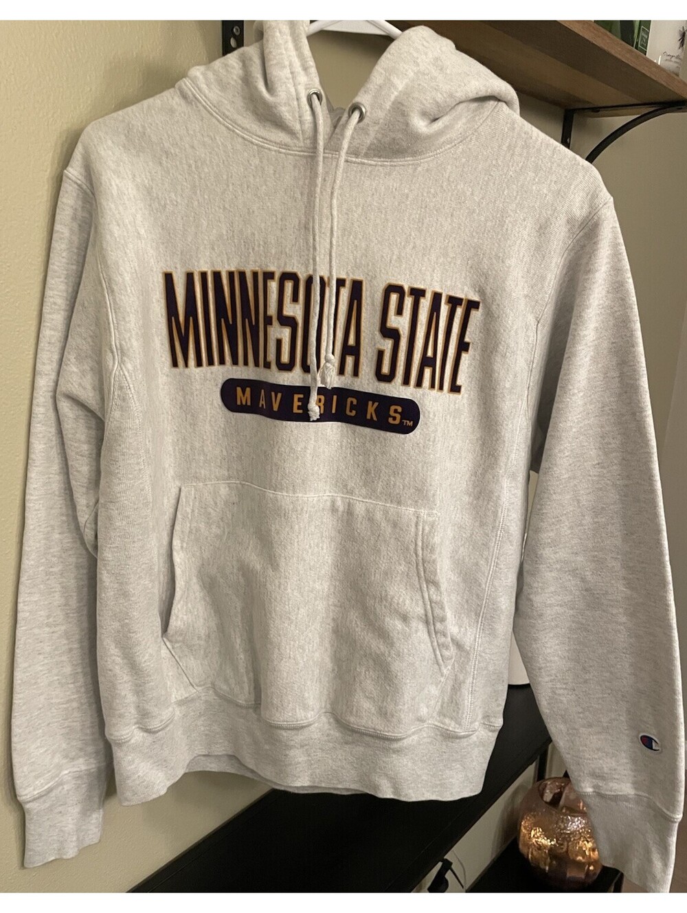 Men’s Vintage Champion Minnesota State Mavericks Hoodie Size Small, Gray